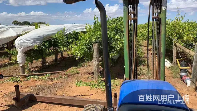 阳泉高薪急招比利时木工安全可靠 - 图片 1
