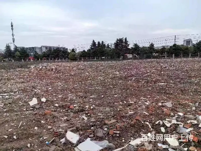 陆家土地出租  很多空地可分租 - 图片