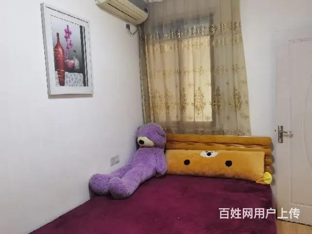 优价出租兰陵九洲新世界花苑二室二厅精装房 - 图片 5