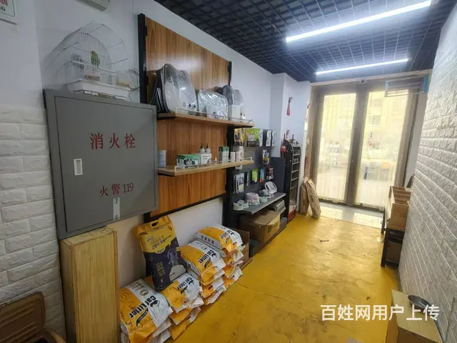 铁西区其仕和颂西北门宠物店出兑，可空兑 - 图片 5