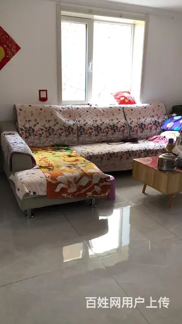 钦村路小区精致房源出售 - 图片 6