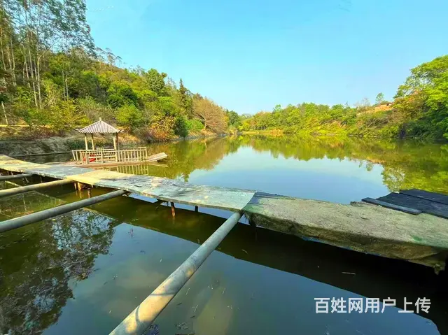 从化区鳌头有38庄园鱼塘民宿餐馆山庄整体出租 - 图片 3