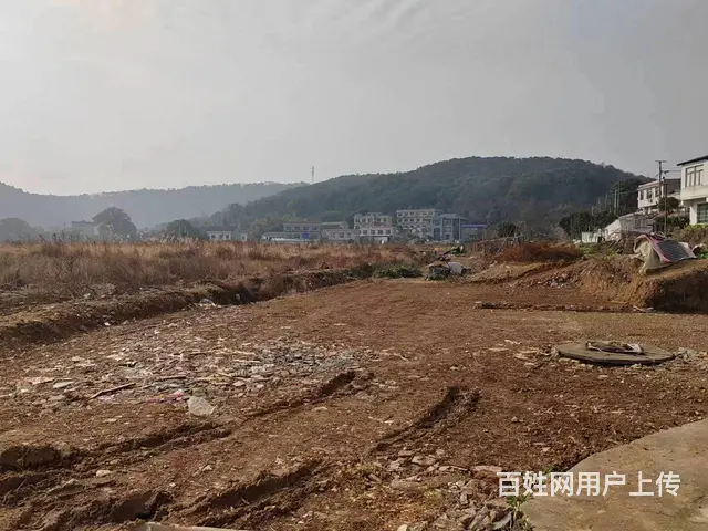 （老板本人）岳麓区王家湾附近住房/仓库/场地低价出租5852 - 图片 3