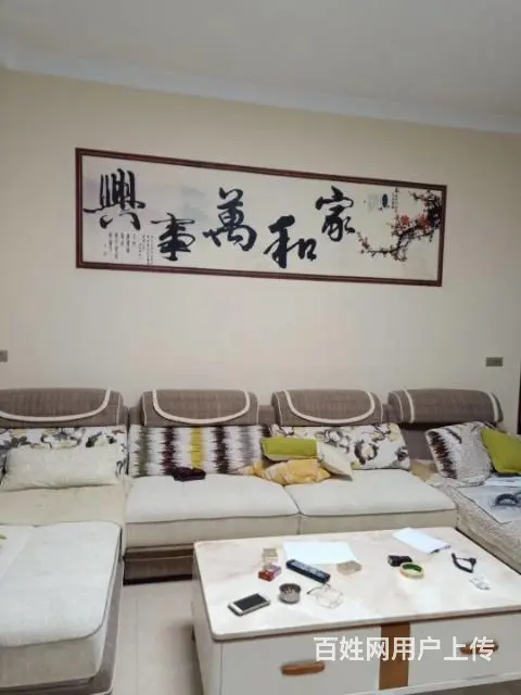 毕节墙画-背景墙画-市政墙画-专业墙画-二手墙画机 - 图片 6
