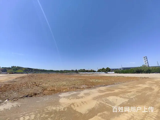 （城市在线找房免费）开发区通港大道附近独门独院场地出租 - 图片 9