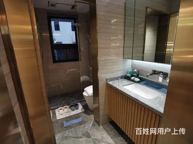 洋房已封顶，准现房 四面朝南阔景阳台11.8米送精装地下车位 - 图片 6