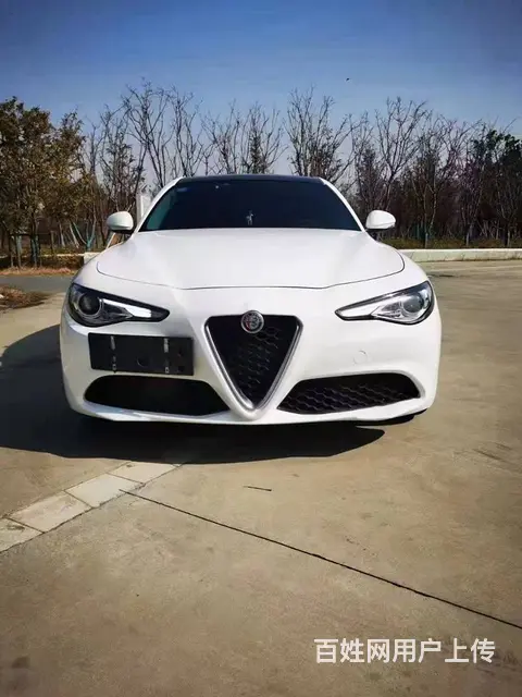 阿尔法-罗密欧Giulia 2018款 2.0T 手自一体 - 图片 2