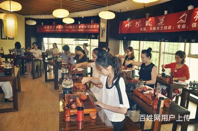 中国茶学系统培训班和天晟茶艺培训学校的关系 - 图片 12