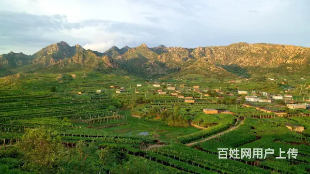 秦皇岛昌黎葡萄沟农家院，全家人翡翠轩农家院游玩去处 - 图片 1