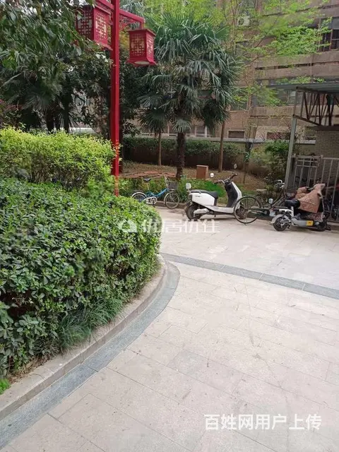 北门口，中央领域，现房毛坯，大三室，随时看房，可按 - 图片 12
