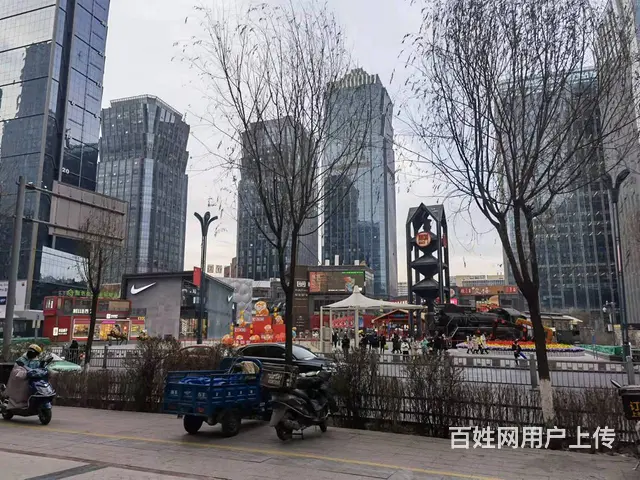 7343(七P)个人城西区海湖新区唐道正对面旺铺转让 - 图片 4