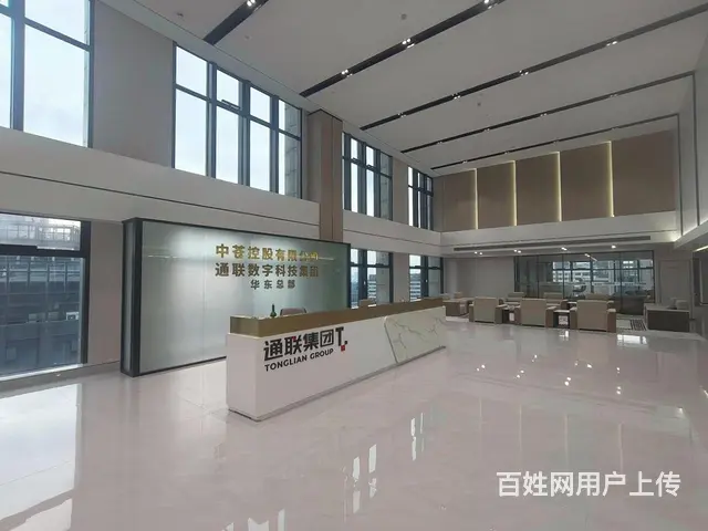 高挑空总部级整层双地铁豪装办公拎包进驻 - 图片 11