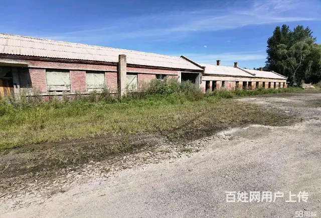 阿城玉泉收费站附近厂房出售 - 图片 6