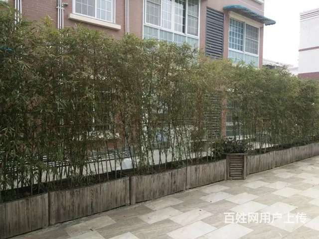 精装修酒店 - 图片 8