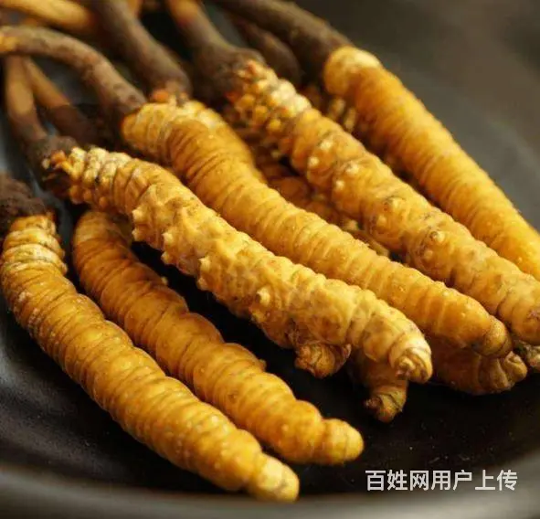 邢台任县茅台酒五粮液国窖1573回收求购 - 图片 2