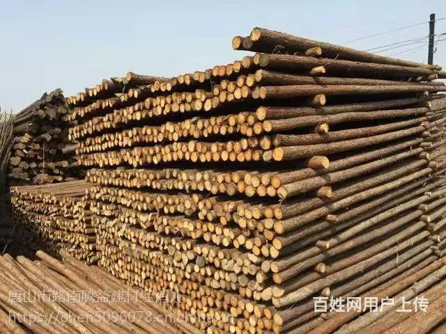 威海园林绿化杉木杆，竹杆批发现货供应_12小时送达 - 图片 6