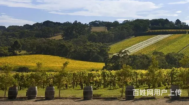 出国劳务输出/不限学历/年薪50万急招各类房建 - 图片 10