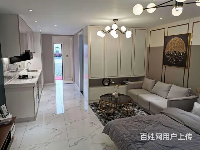 政务新区现房首付10万复式公寓苏滁汽车生活广场通燃气双层设计 - 图片 12