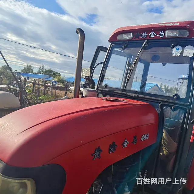 黄海金马 - 图片 1