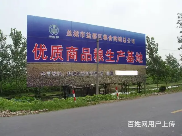 楼体字，楼体彩虹字，发光字，户外媒体，工艺礼品 - 图片 7