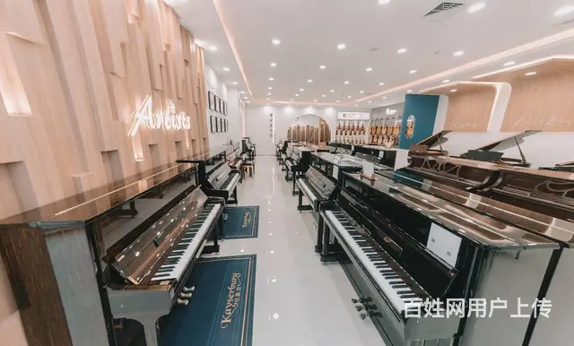 买乐器在网上还是实体店买比较便宜 - 图片 3