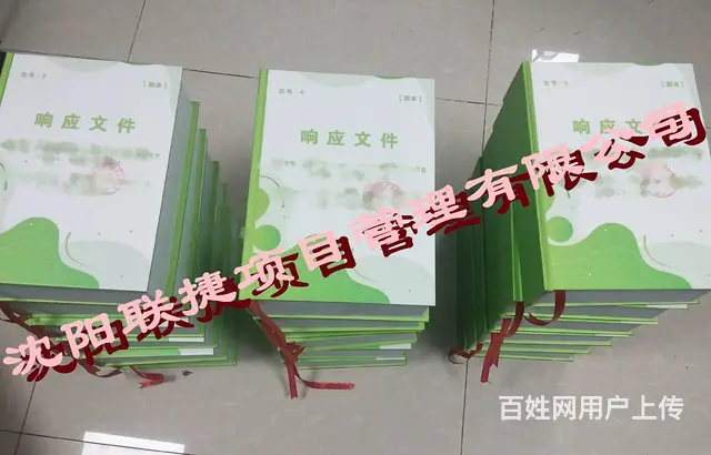 沈阳标书制作，文件精美，内容丰富。 - 图片 8