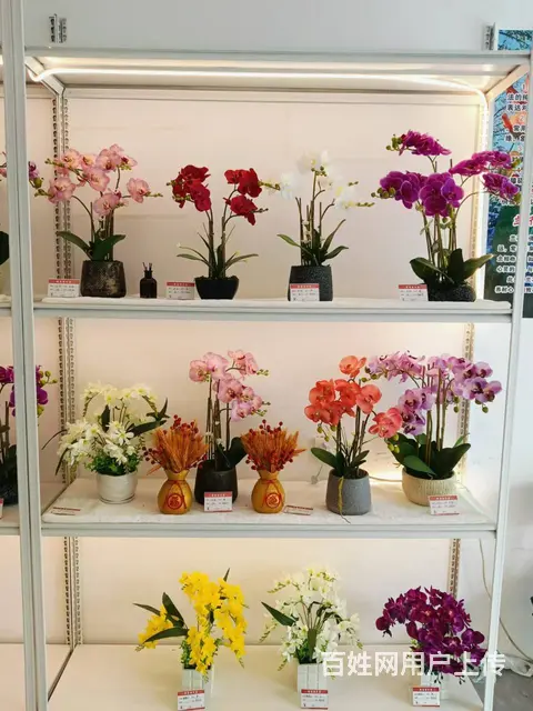 （51旺铺推荐）南山景区20平礼佛鲜花坊店转让 - 图片 10