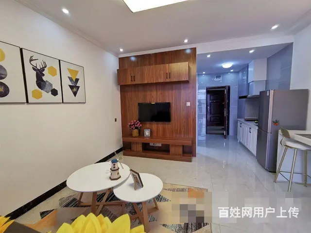 30万买中心区繁华地段一房一厅，看园博园 - 图片 4