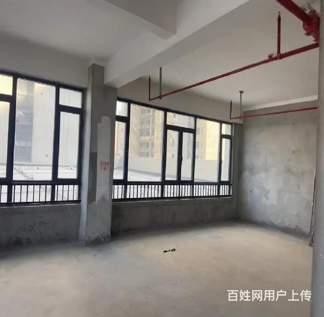 北郊！碧桂园公寓楼下口！采光好送大露台 - 图片 4