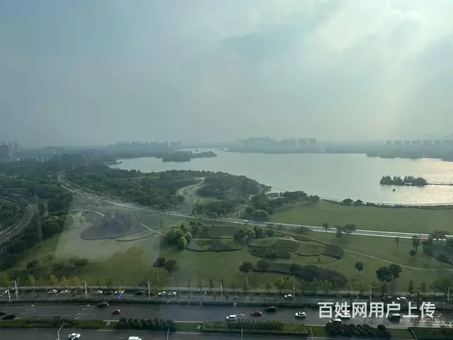 大龙湖金融聚集区1400平整层，可分售 - 图片 12