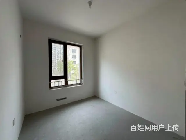 上新外滩首.府1带2下叠  带花园 毛坯 价可谈  有车位 - 图片 8