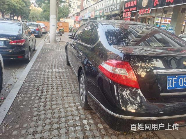 尼桑公爵王的图片