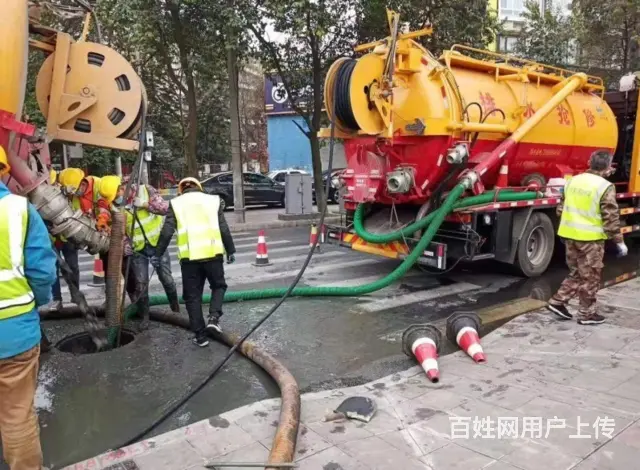 烟台芝罘人性化的转运菌种信赖推荐 - 图片 3