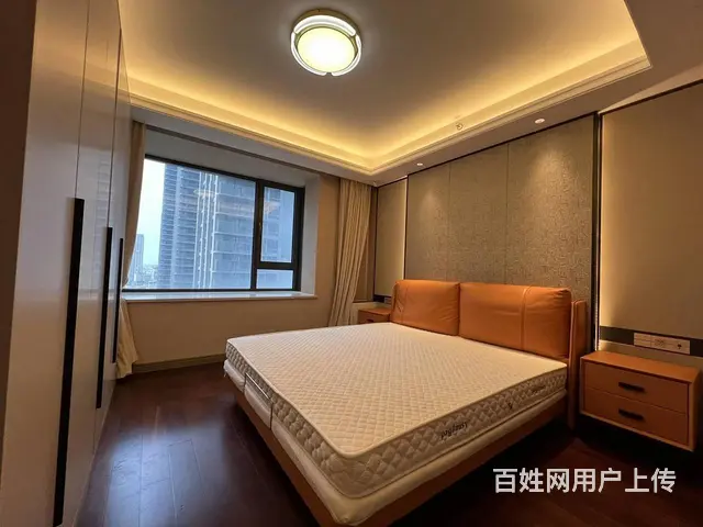 海珀滨江，带梯控，隐私性较好，绿地缤纷城，万象城边 - 图片 8