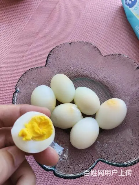 出售乳鸽，大肉鸽子， - 图片 7