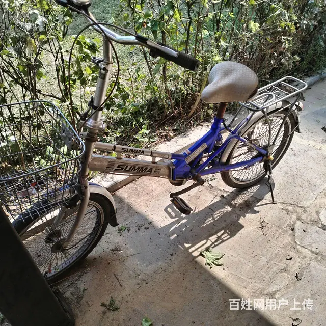 折叠自行车 - 图片