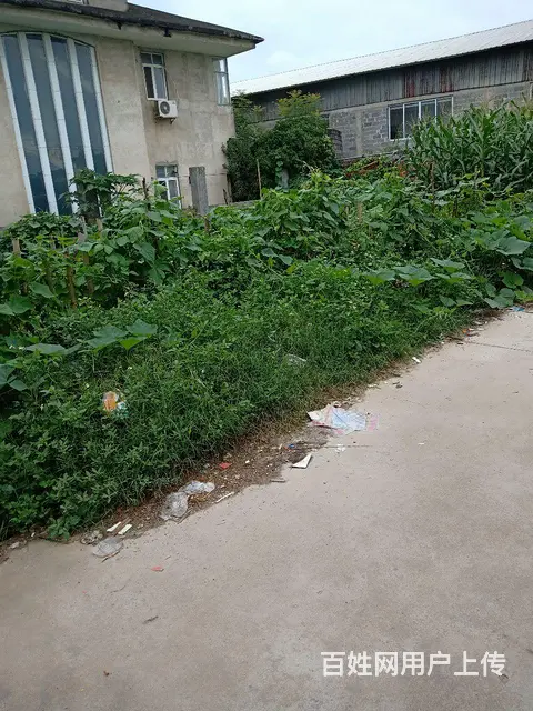 新南城附近稀缺别墅地急售 - 图片 1