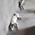 便宜了