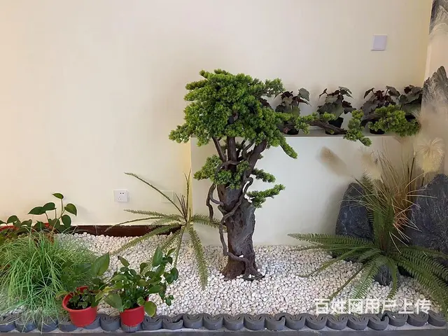 张店区南西五路营业中养生馆转让 - 图片 8