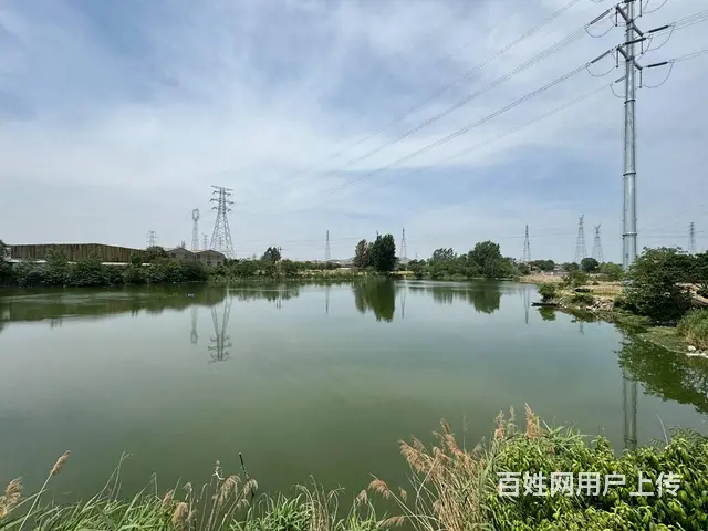 （徐州找店网）泉山区40亩鱼塘出租 - 图片 3