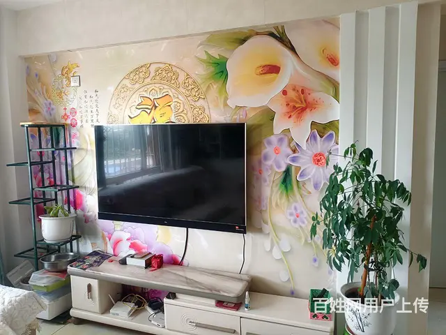 自家房源，精装修 - 图片 7