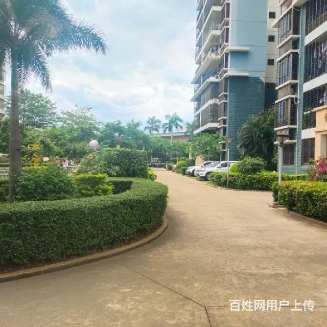 新大洲大道   儒俊雅苑2房出售 - 图片 10