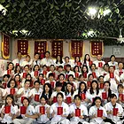 采耳:阿坝川氏采耳培训，专业可靠，学会为止，可以领证