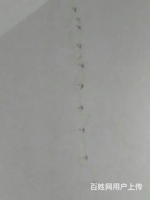 兴隆专业高空作业，外墙补漏 - 图片 4