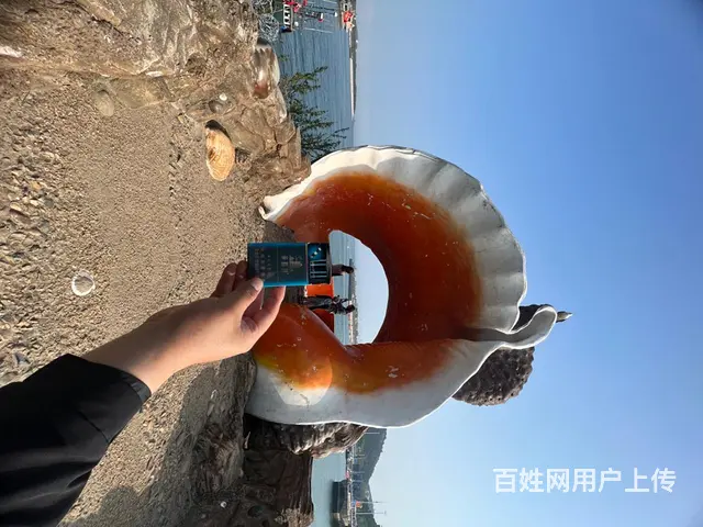 其他 皮卡 国5 - 图片 1