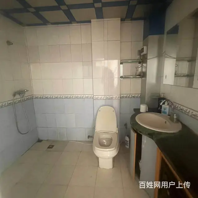 辰宇新村(大东) 普通住宅1厅 精装修 - 图片 4