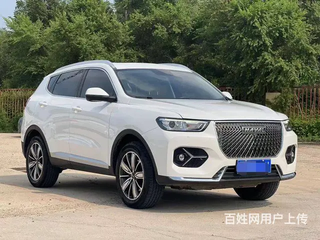 哈弗H6 2020款 1.5GDIT 双离合 铂金超豪版 - 图片 3