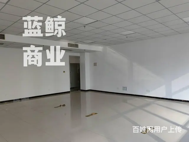 绿地商务城蓝海60到300平拎包办公 - 图片 12