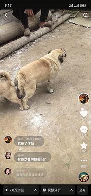 忍痛割爱