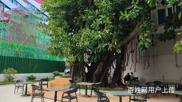 （51旺铺推荐）儋州独栋两层1200平商铺招租 - 图片 6